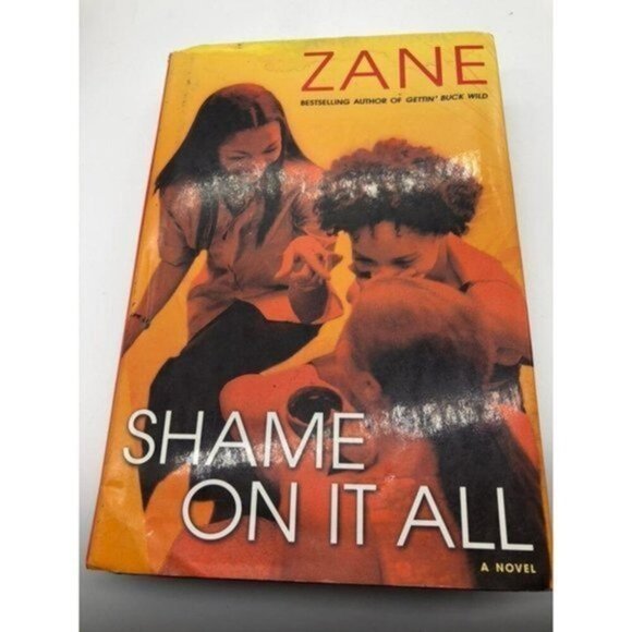 Zane Shame On It All Book A Novel - Picture 1 of 12